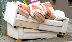 Disposal of Bulky Items, Garden Waste and Dead Pets